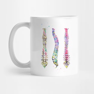 Human Spine Mug